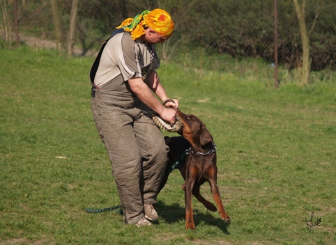 Training 4. 4. 2007
